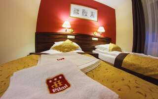 Отель Hotel Pikul Пулавы Стандартный двухместный номер с 2 отдельными кроватями-5